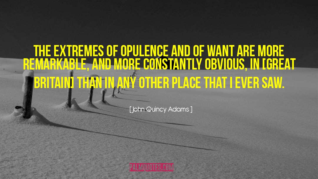 Opulence quotes by John Quincy Adams