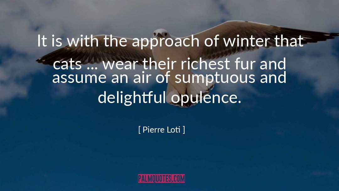 Opulence quotes by Pierre Loti