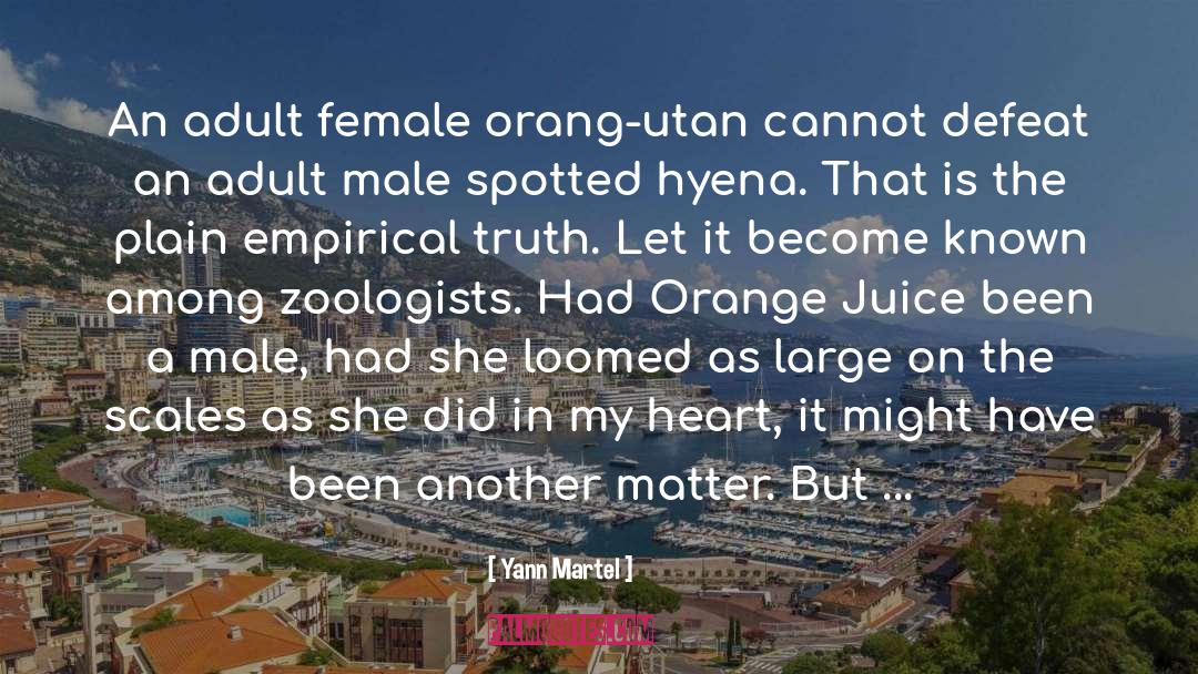 Orange Juice quotes by Yann Martel
