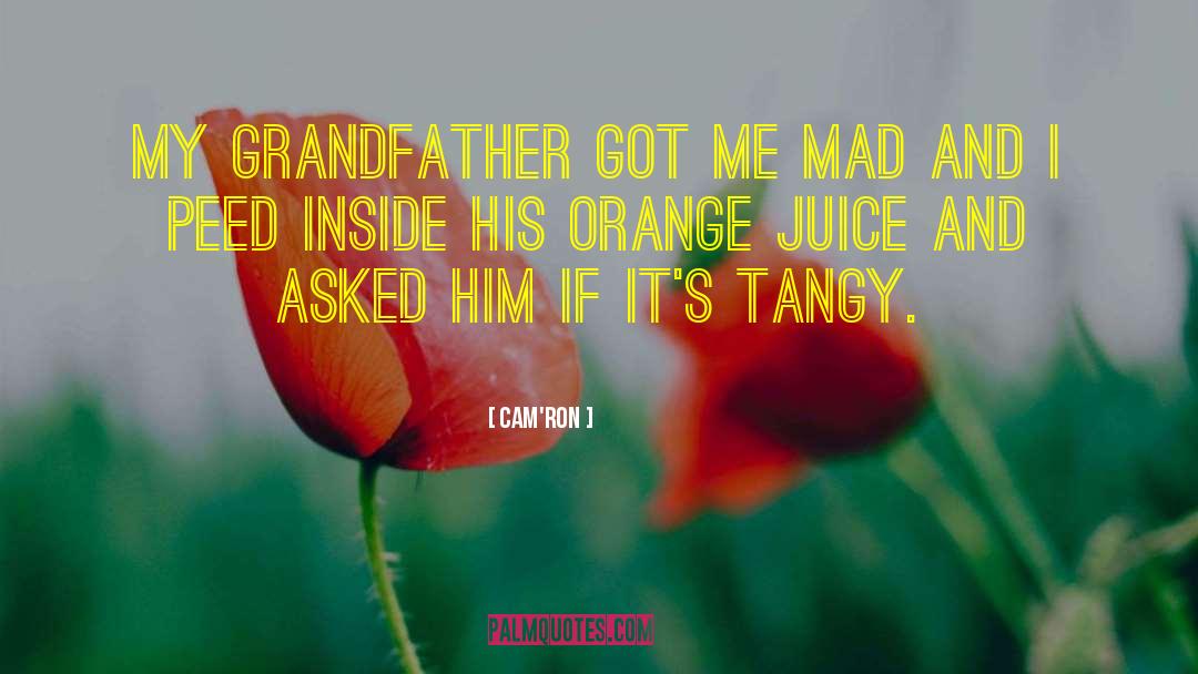 Orange Juice quotes by Cam'ron