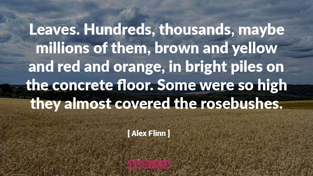 Orange quotes by Alex Flinn
