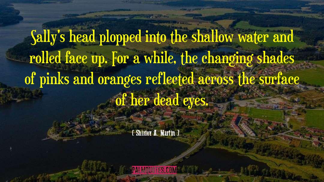 Oranges quotes by Shirley A. Martin