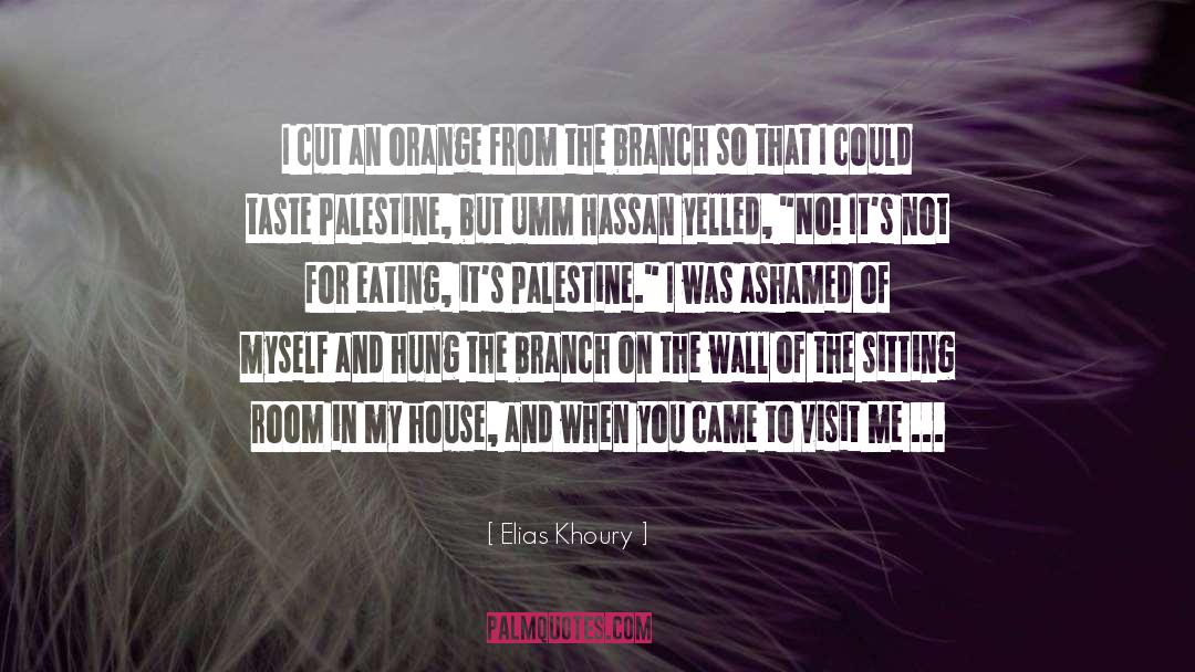 Oranges quotes by Elias Khoury
