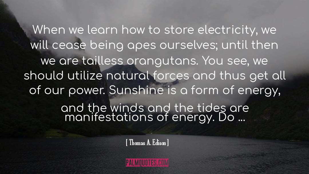 Orangutans quotes by Thomas A. Edison