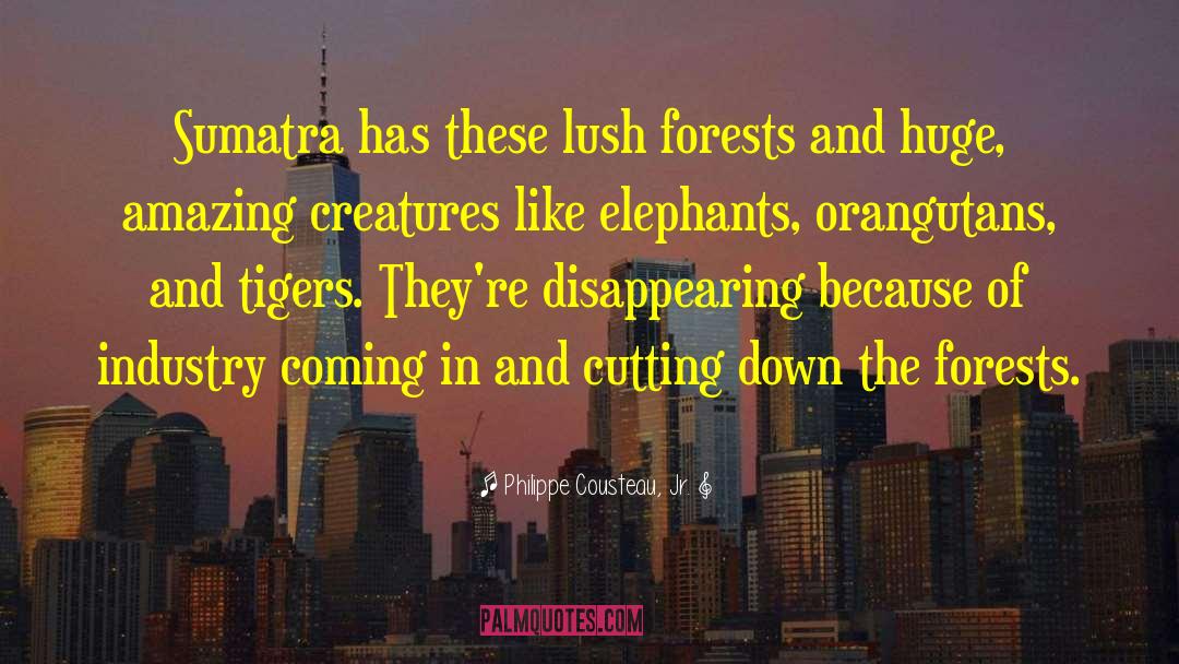 Orangutans quotes by Philippe Cousteau, Jr.