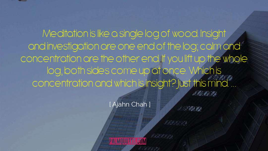 Orbirental Log quotes by Ajahn Chah