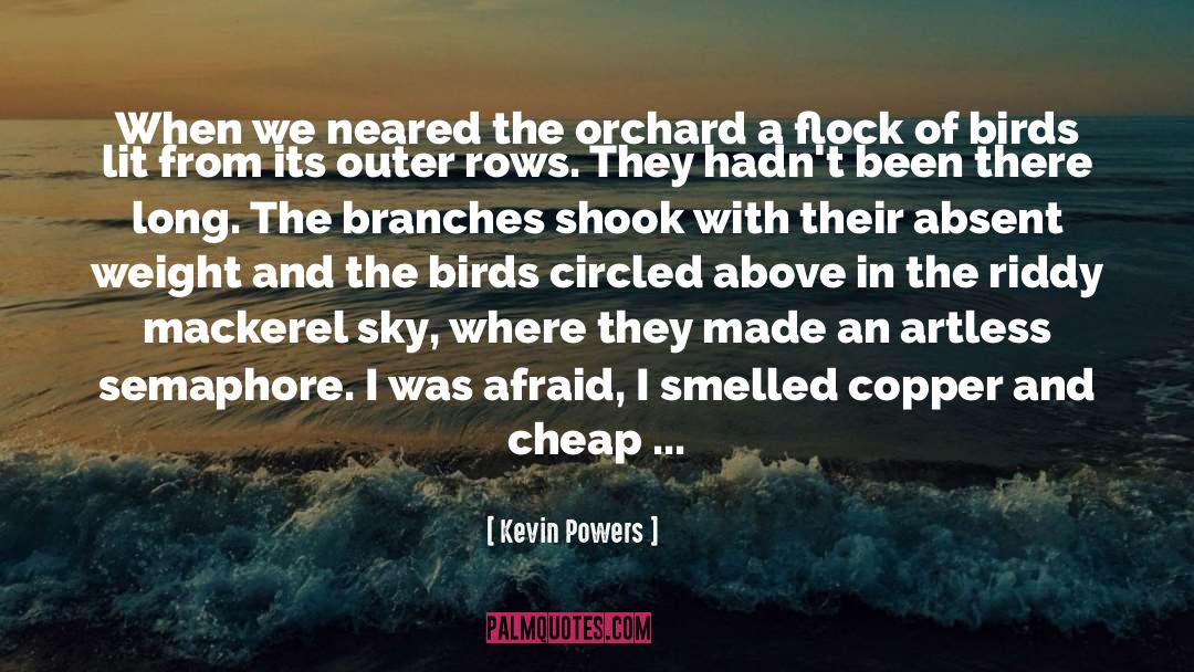 Orchard quotes by Kevin Powers