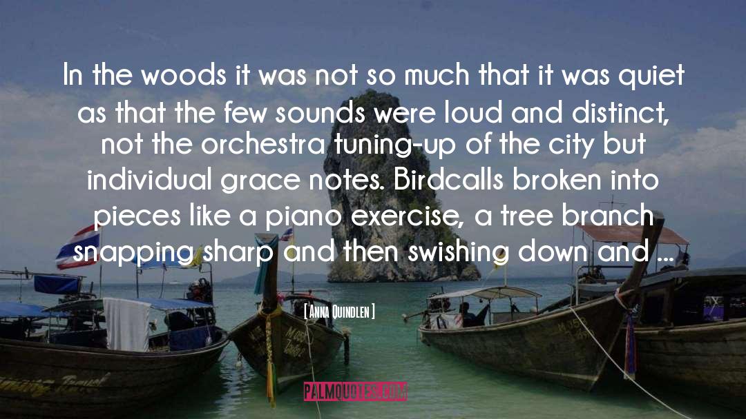 Orchestra quotes by Anna Quindlen