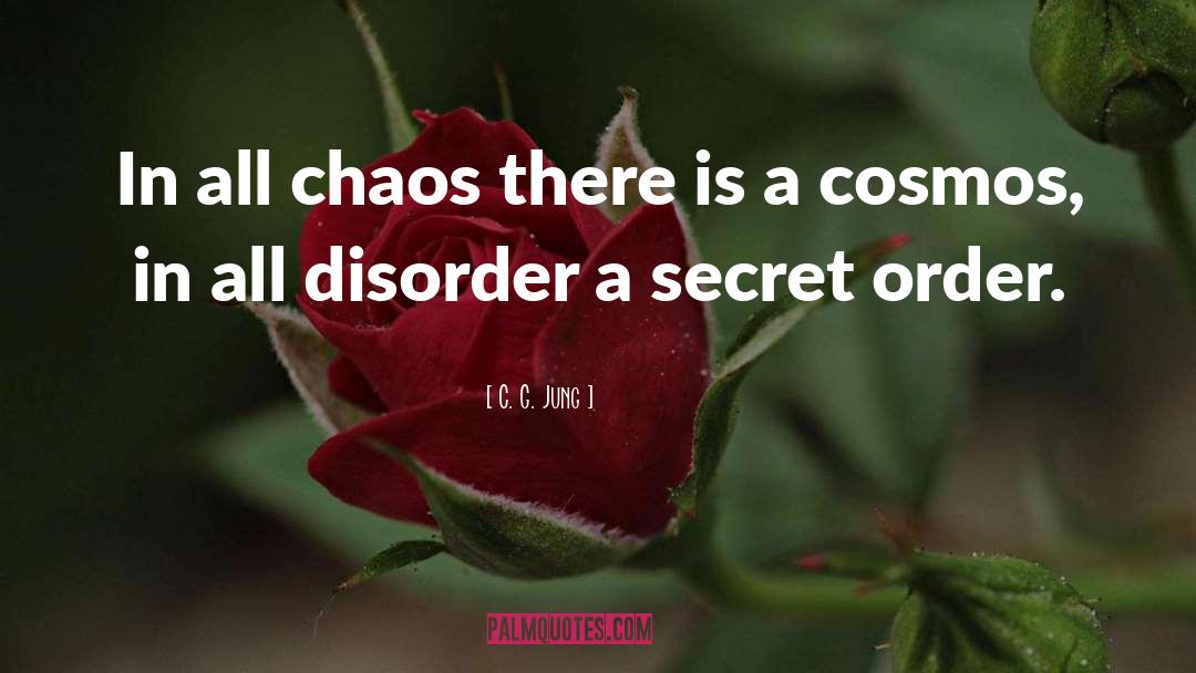 Order And Chaos quotes by C. G. Jung