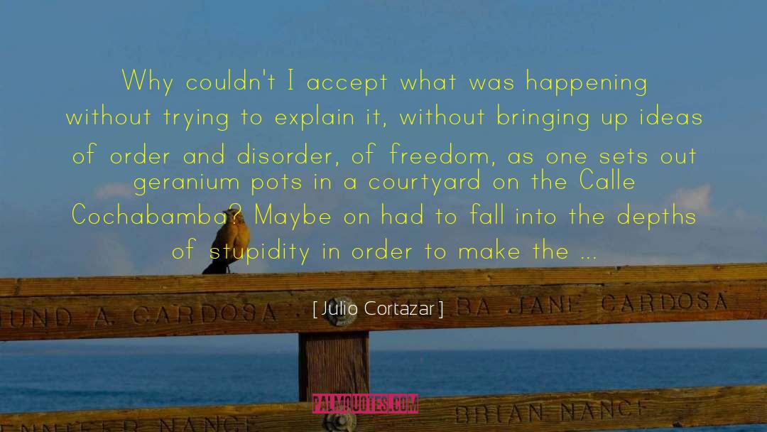 Order And Disorder quotes by Julio Cortazar