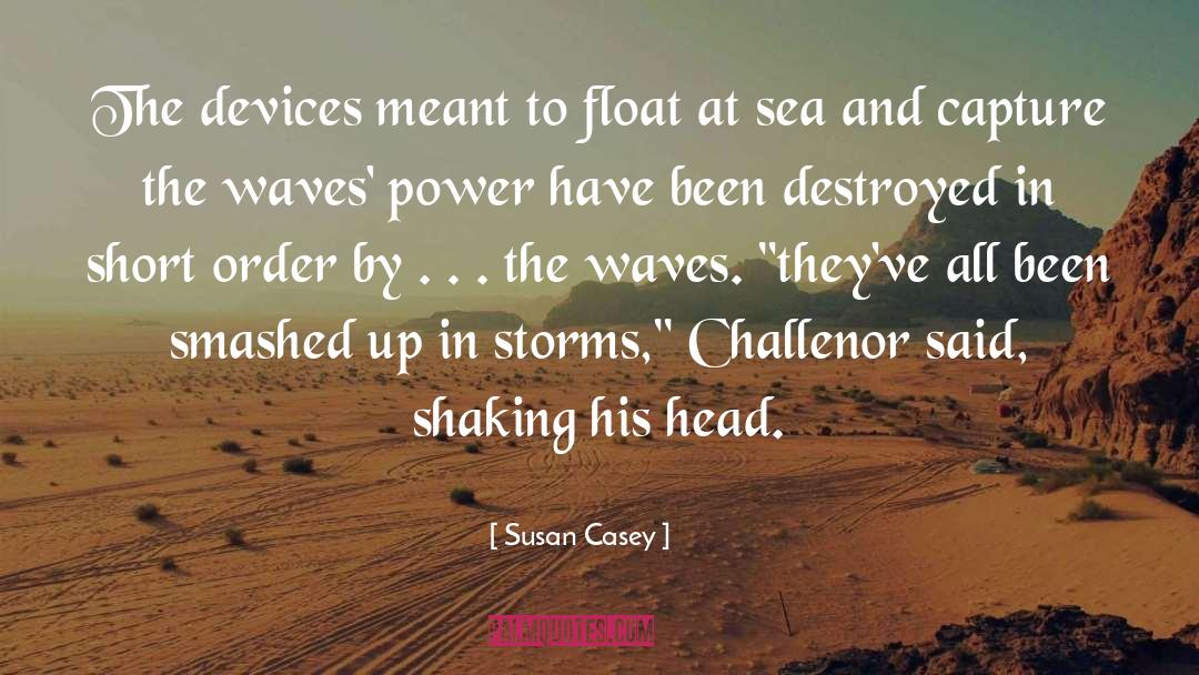 Order In The Universe quotes by Susan Casey