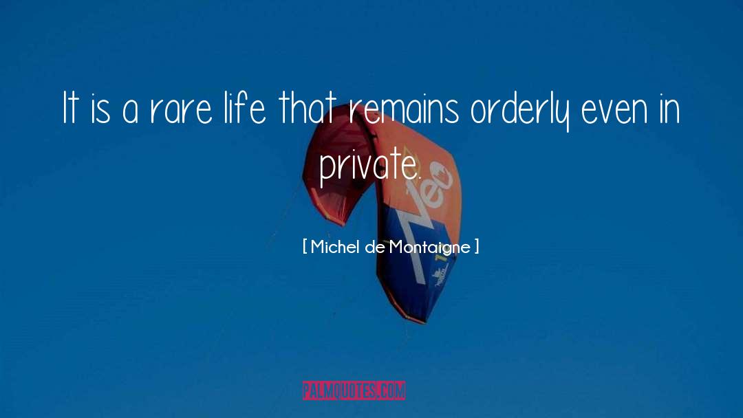 Orderliness quotes by Michel De Montaigne