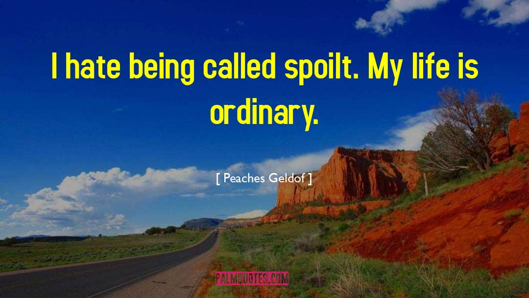 Ordinary Life quotes by Peaches Geldof