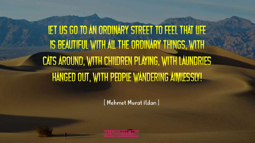 Ordinary Streets quotes by Mehmet Murat Ildan