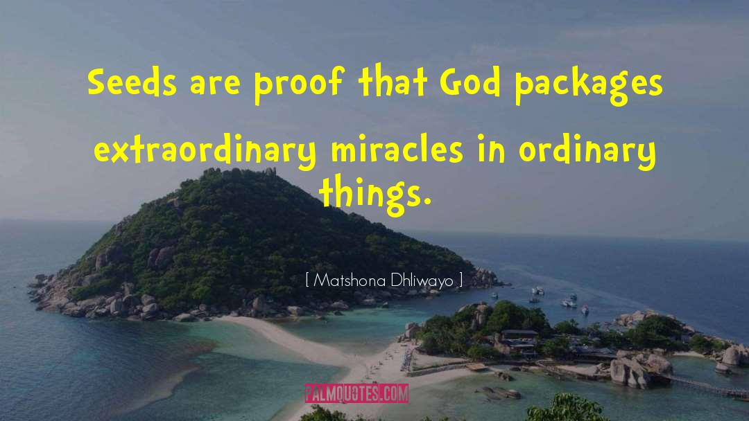 Ordinary Things quotes by Matshona Dhliwayo