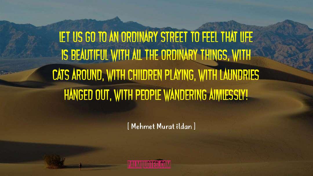 Ordinary Things quotes by Mehmet Murat Ildan