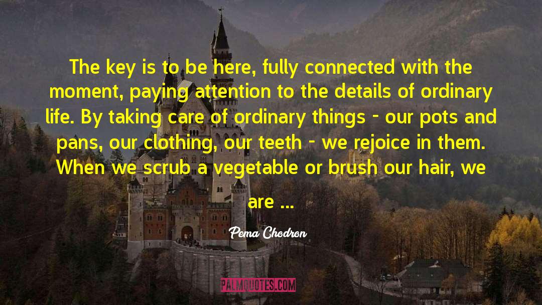 Ordinary Things quotes by Pema Chodron