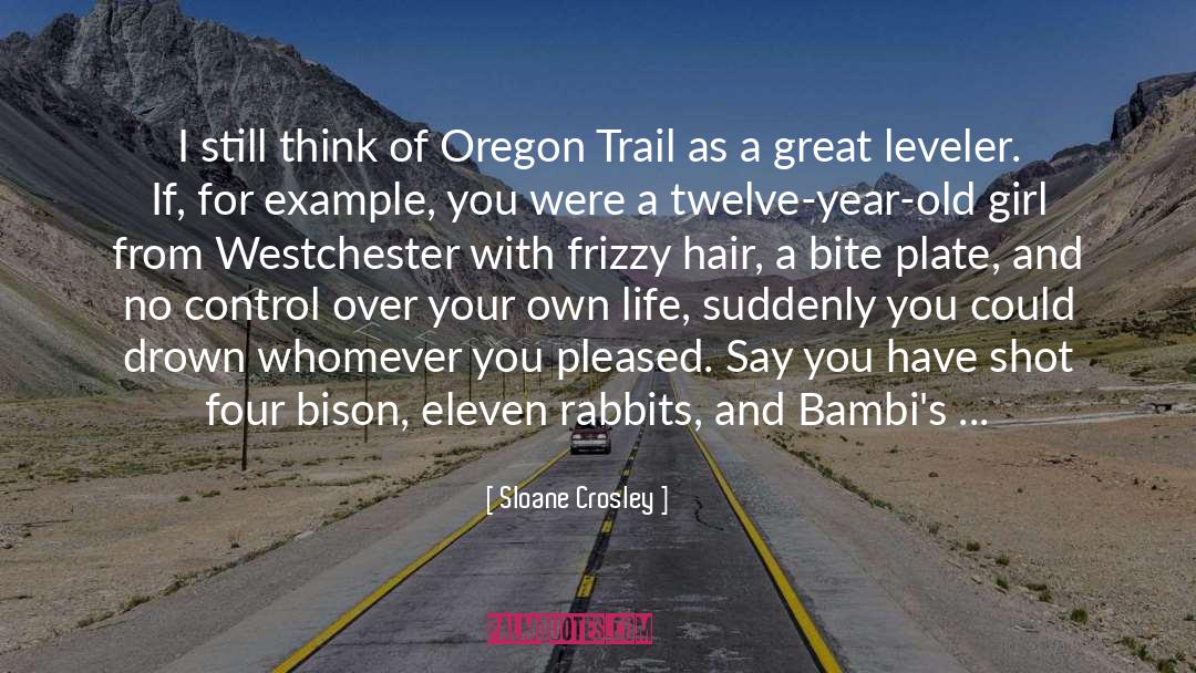 Oregon Trail quotes by Sloane Crosley