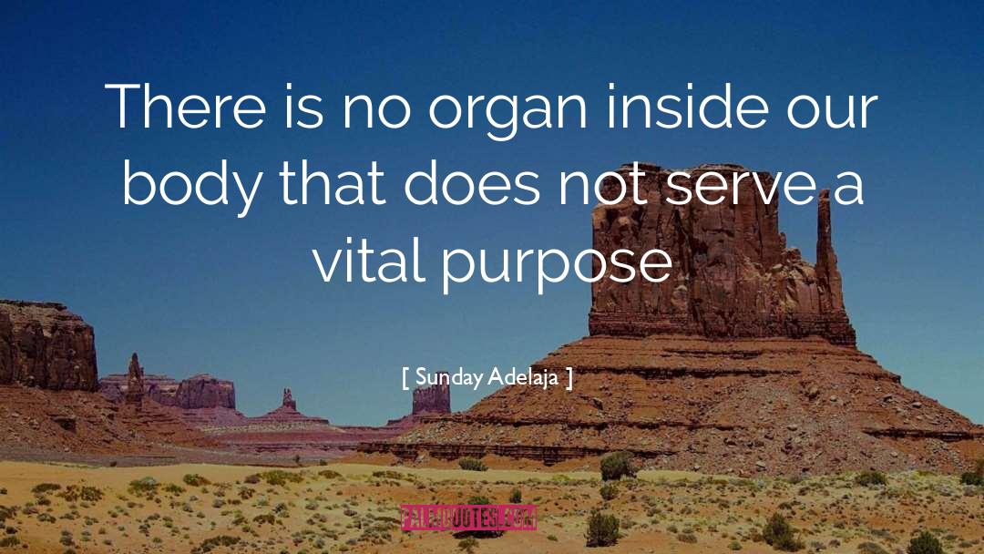 Organ Donors quotes by Sunday Adelaja