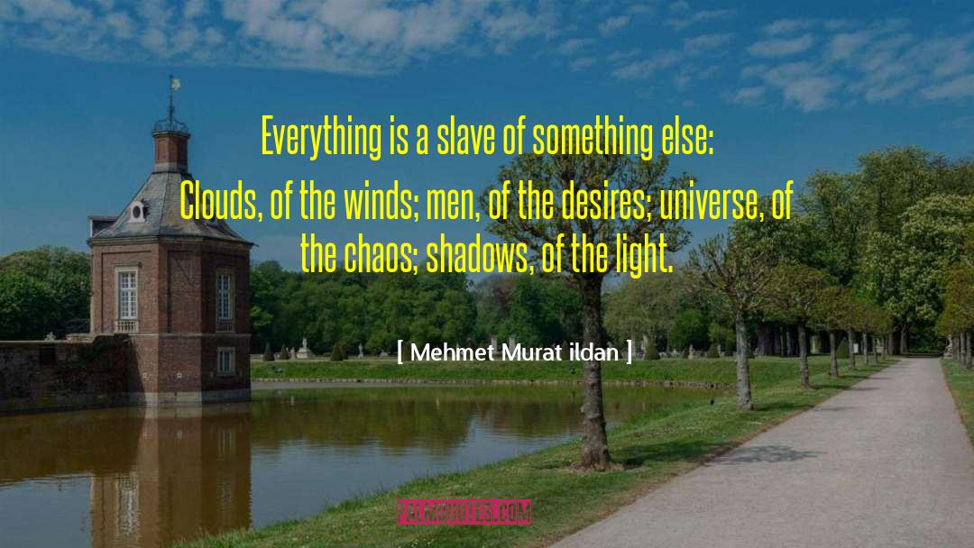 Organic Everything quotes by Mehmet Murat Ildan