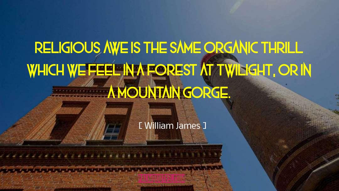 Organic Foods quotes by William James