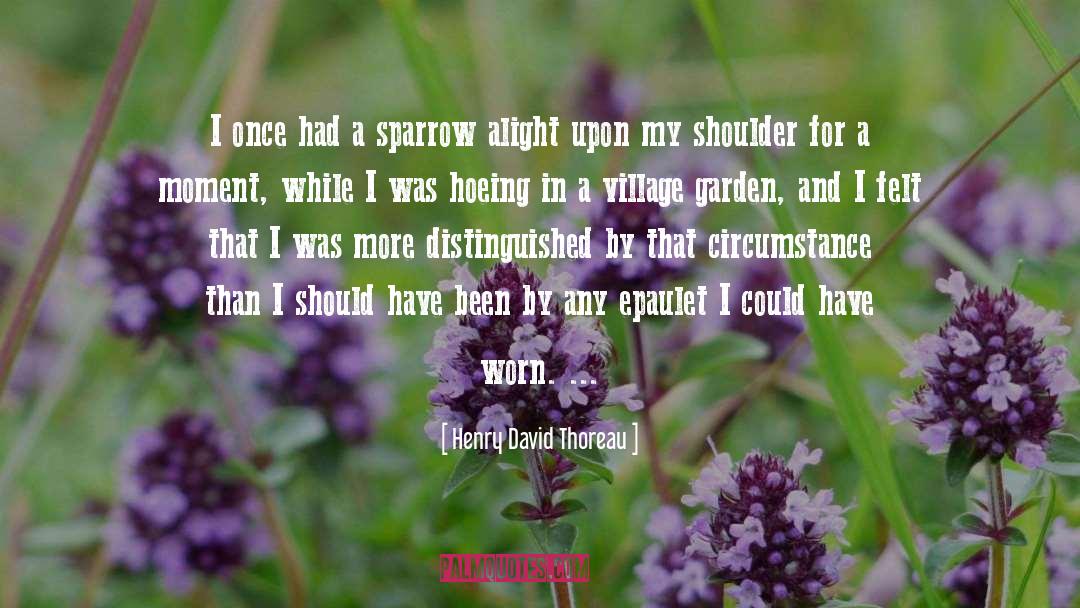 Organic Garden quotes by Henry David Thoreau