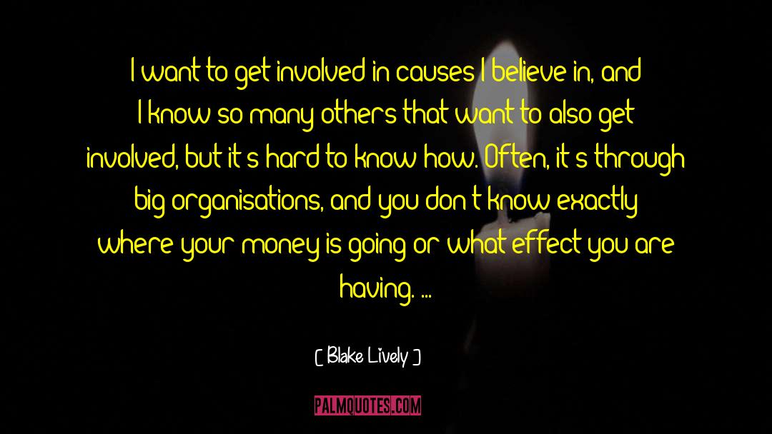 Organisations quotes by Blake Lively