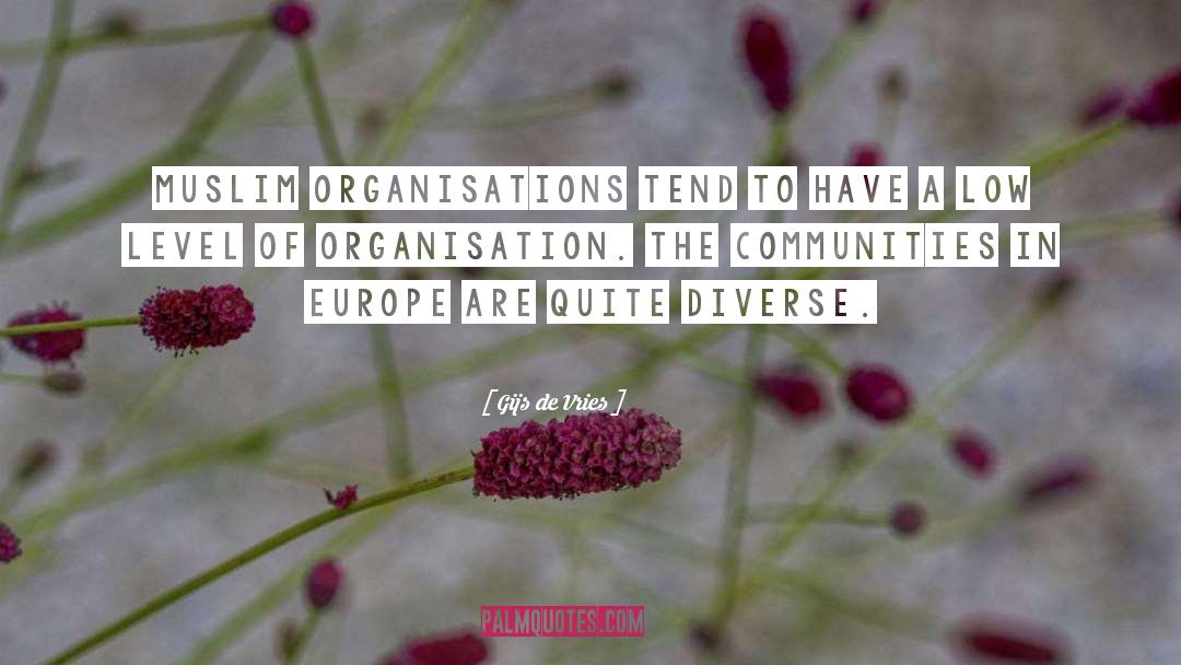 Organisations quotes by Gijs De Vries
