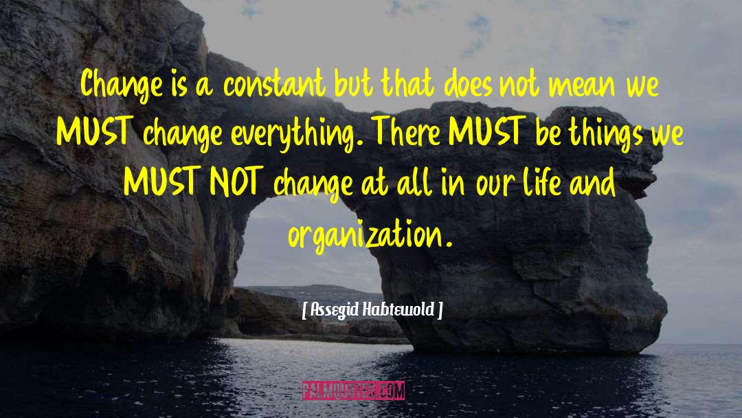 Organization Change quotes by Assegid Habtewold