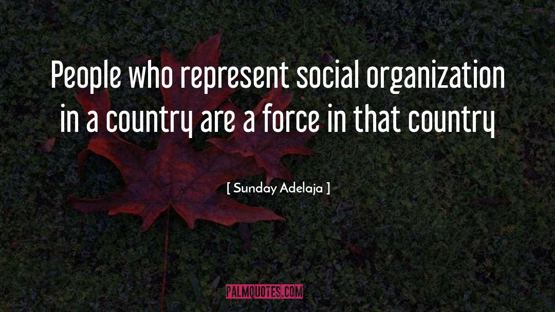 Organization Development quotes by Sunday Adelaja