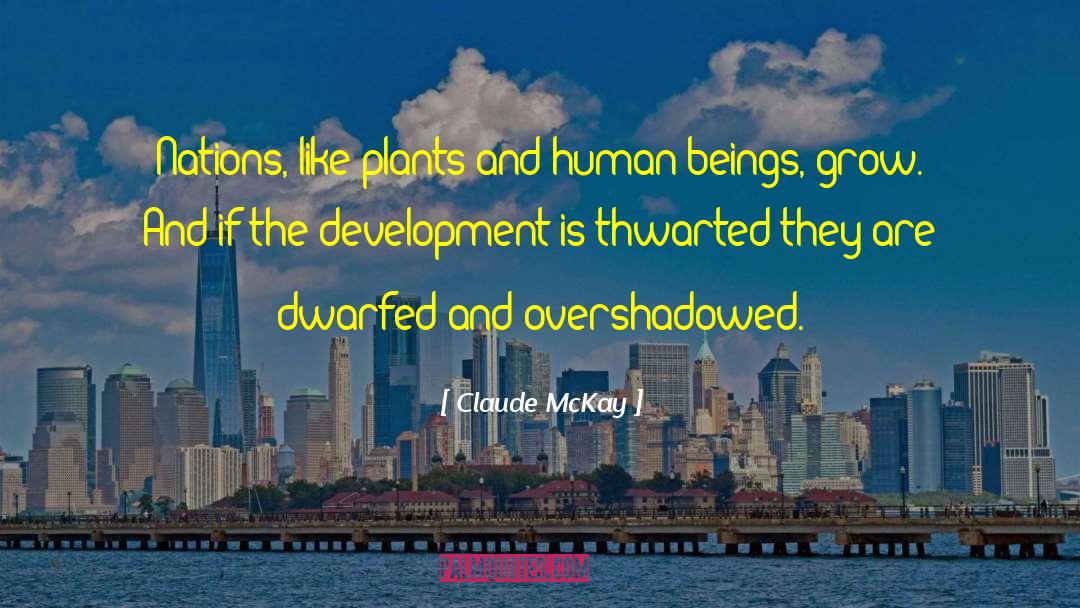 Organization Development quotes by Claude McKay