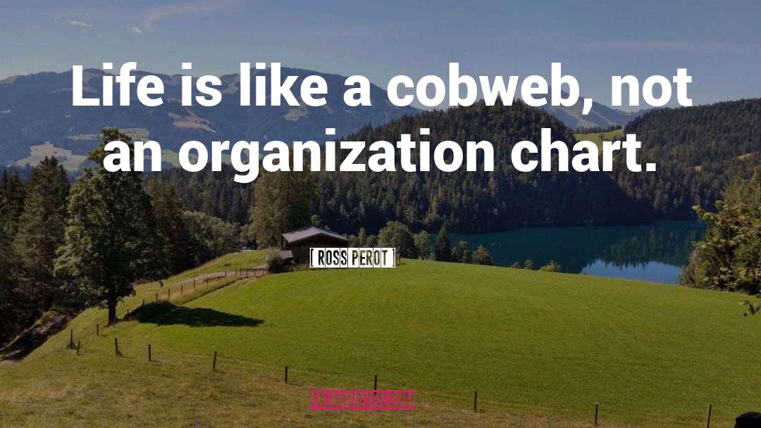 Organization quotes by Ross Perot