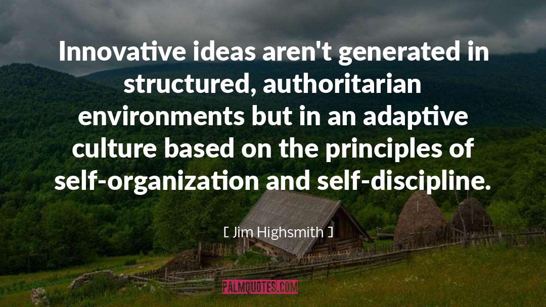 Organization quotes by Jim Highsmith