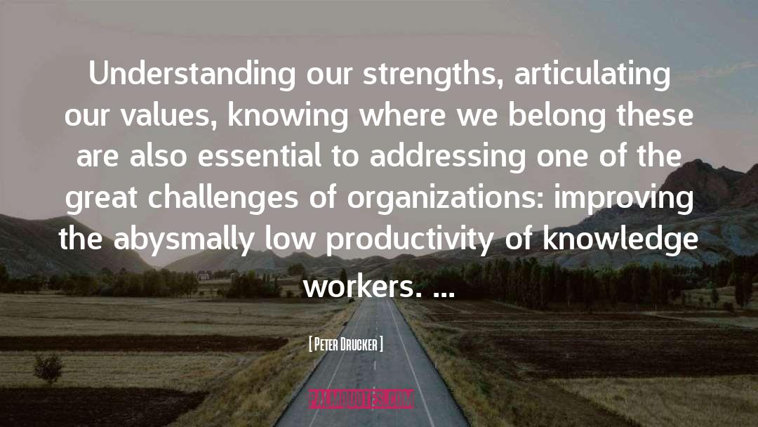 Organizational Productivity quotes by Peter Drucker
