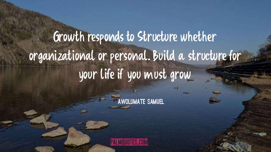 Organizational Structure quotes by Awolumate Samuel