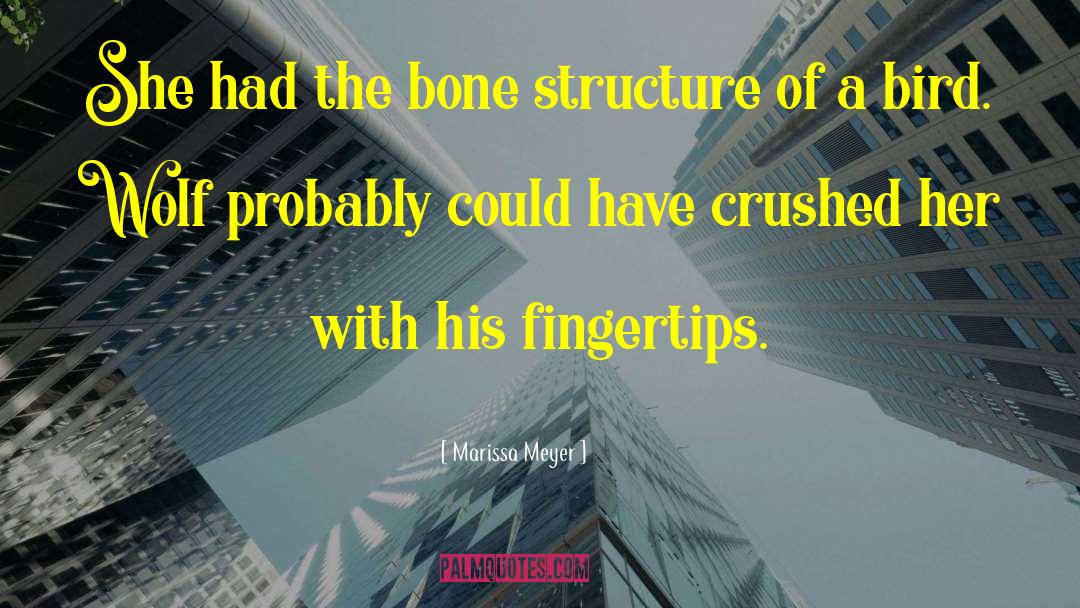 Organizational Structure quotes by Marissa Meyer