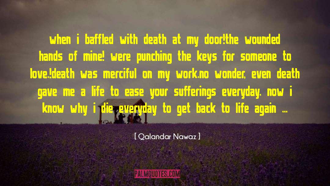 Organize Your Life quotes by Qalandar Nawaz