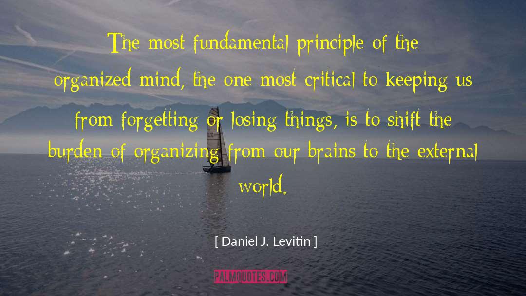 Organized Mind quotes by Daniel J. Levitin