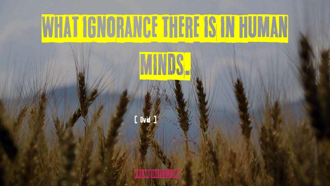 Organized Mind quotes by Ovid