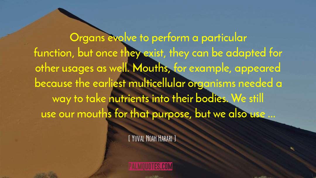 Organs quotes by Yuval Noah Harari