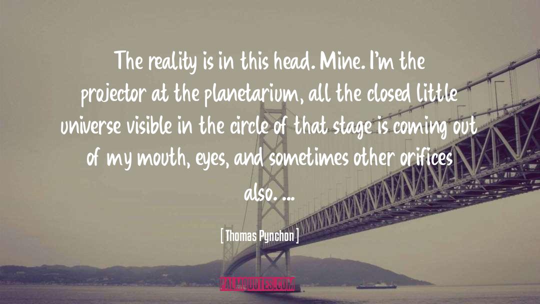 Orifices quotes by Thomas Pynchon