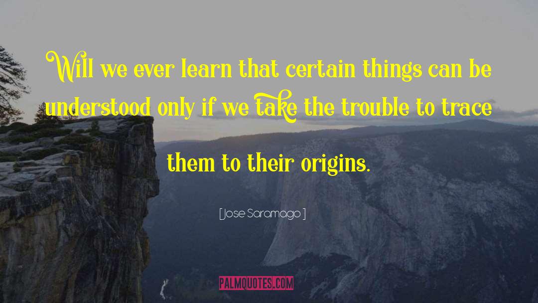 Origins quotes by Jose Saramago