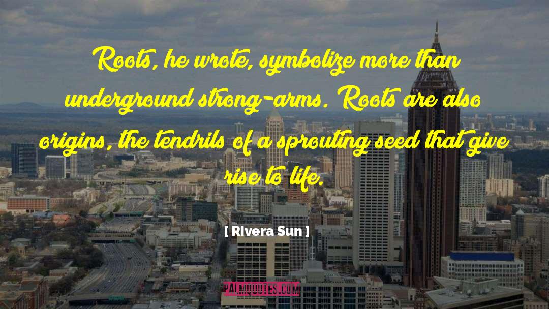 Origins quotes by Rivera Sun