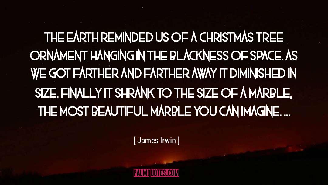 Ornament quotes by James Irwin
