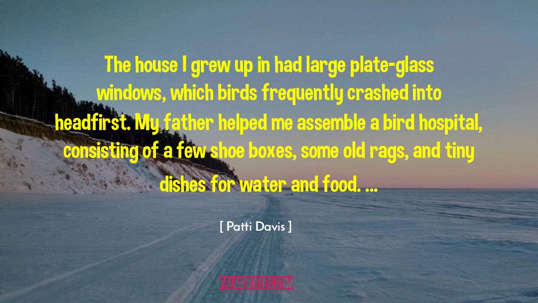 Ornithologists Birds quotes by Patti Davis