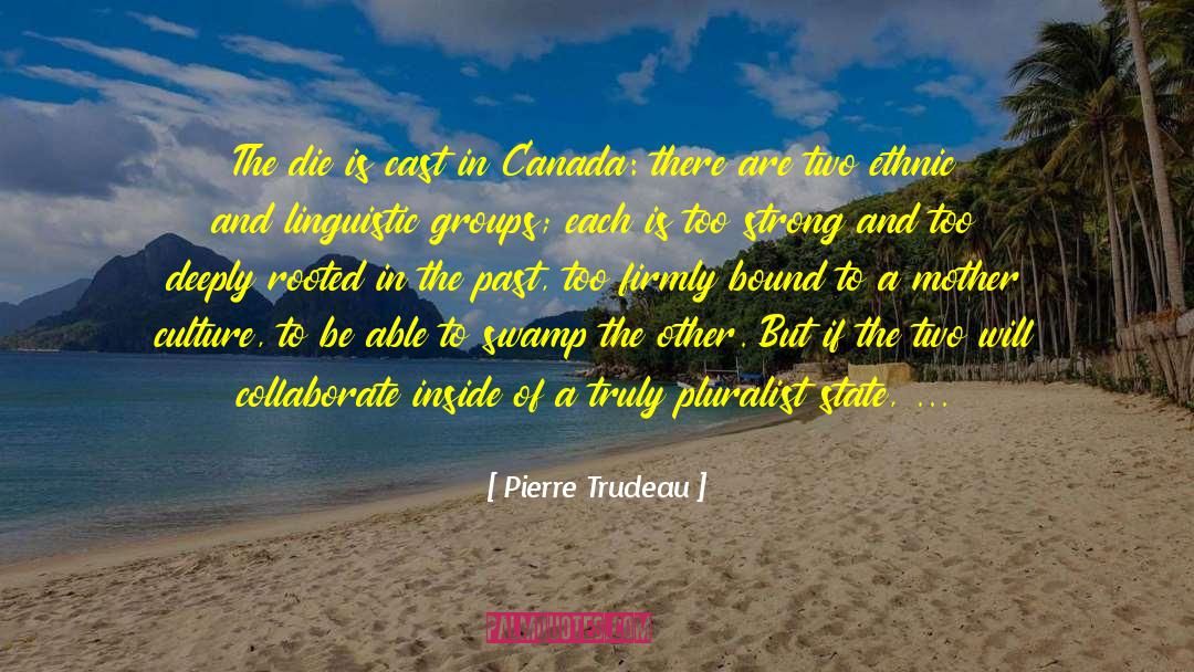 Oropouche Swamp quotes by Pierre Trudeau