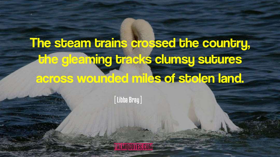 Orphan Trains quotes by Libba Bray