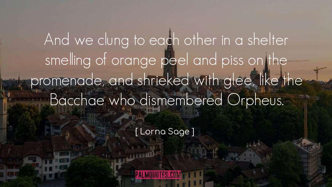 Orpheus quotes by Lorna Sage