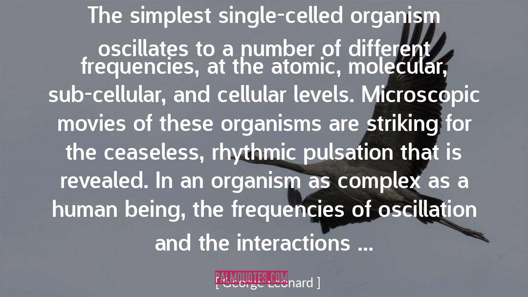 Oscillation quotes by George Leonard