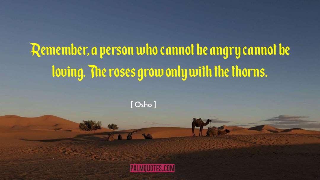 Osho Rajneesh quotes by Osho
